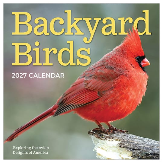 2027 Backyard Birds Wall Calendar